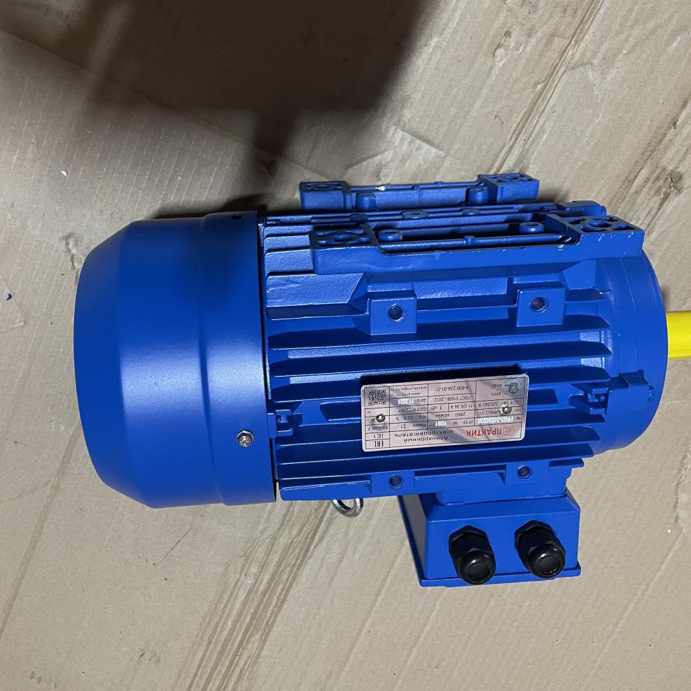 Электродвигатель АИР 90 L2 3/3000 IM 1081 лапы