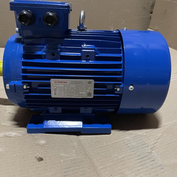 Электродвигатель АИР 100 S4 3/1500 IM 1081 лапы