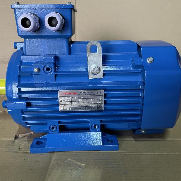 Электродвигатель АИР 100 L2 5,5/3000 IM1081 лапы
